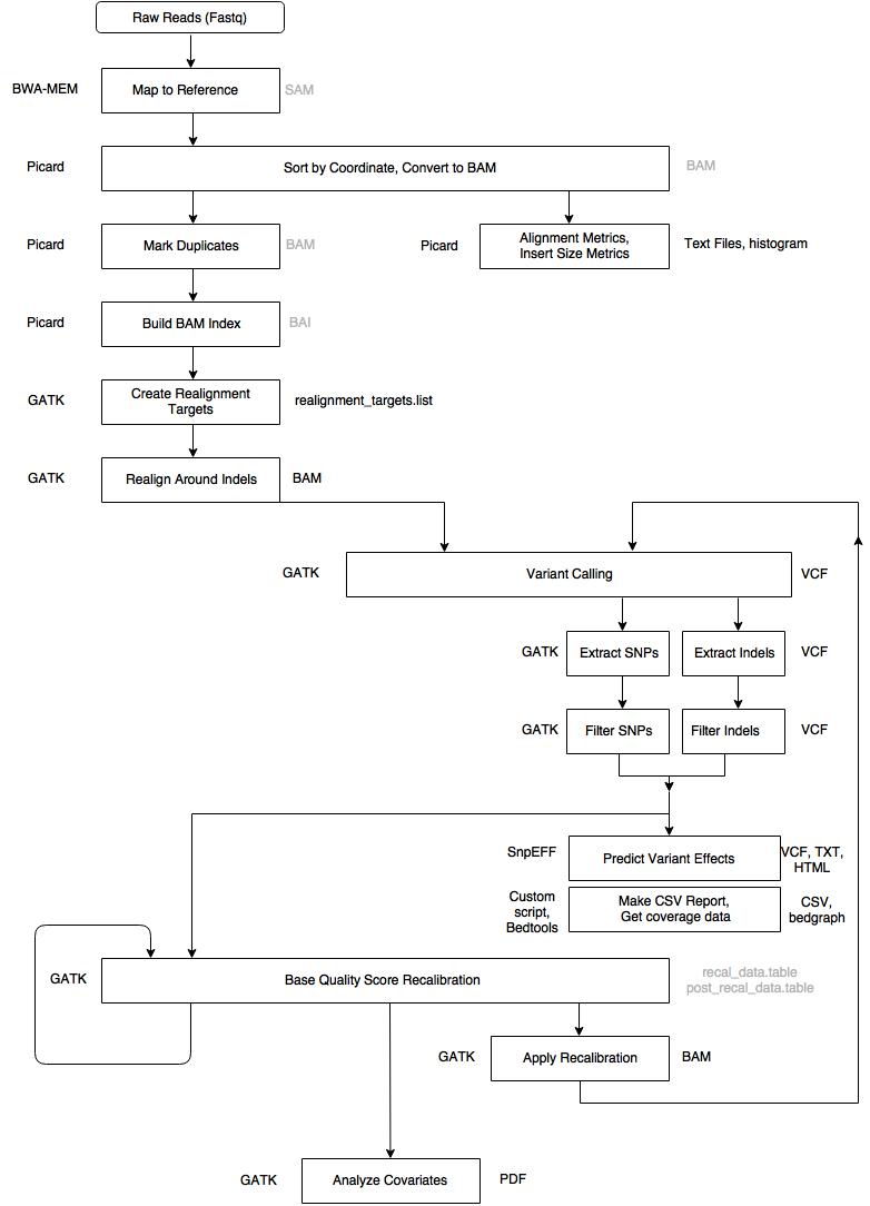 Variant Calling Workflow