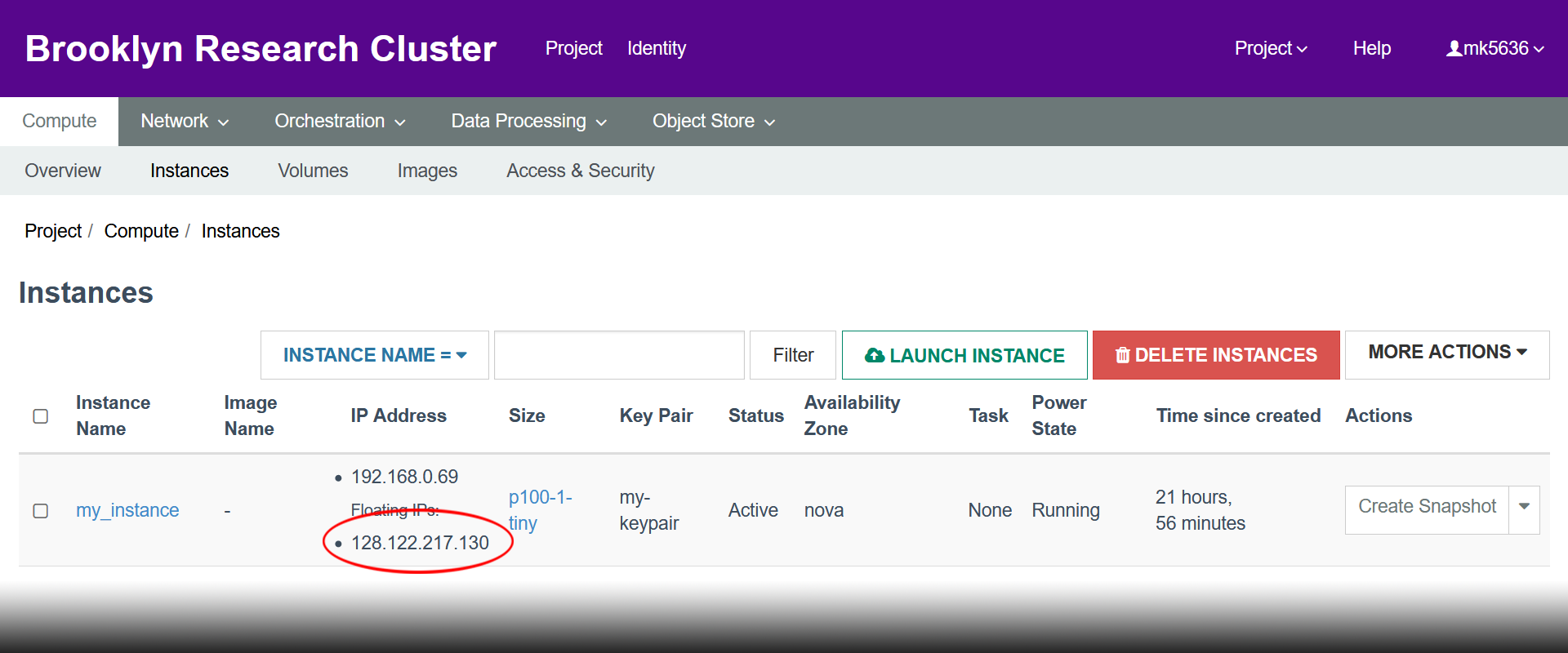 Instance IP Address