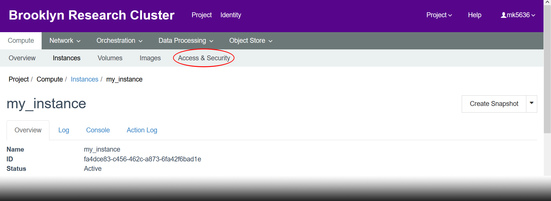 Instance Overview