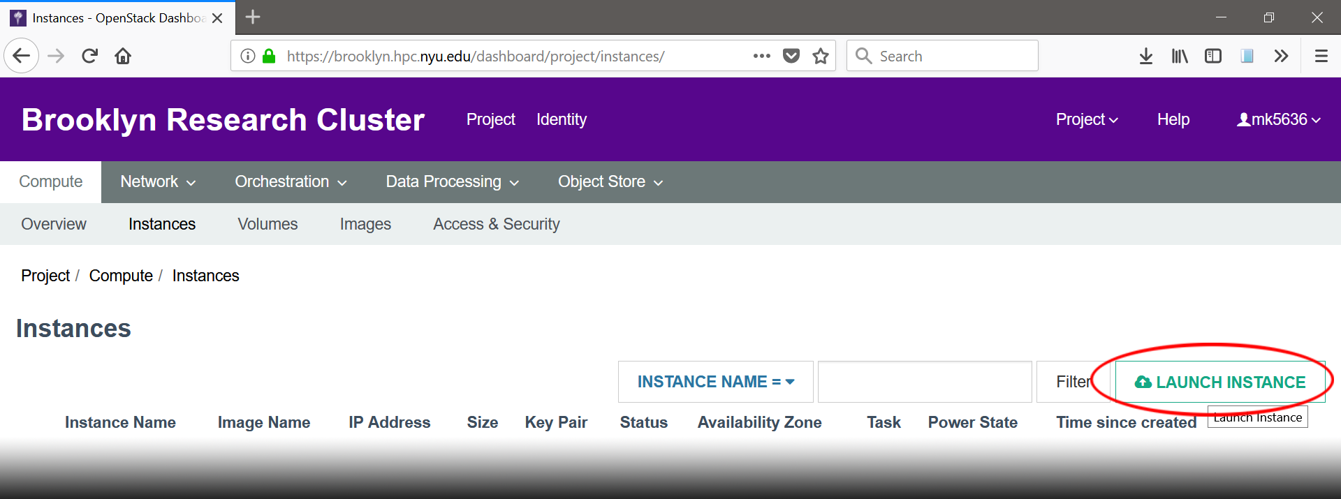 Launch Instance