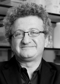 Fabio Piano